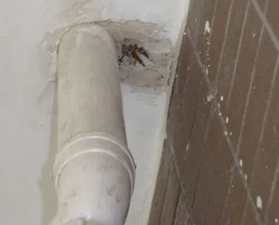 江岸漏水检测哪家好